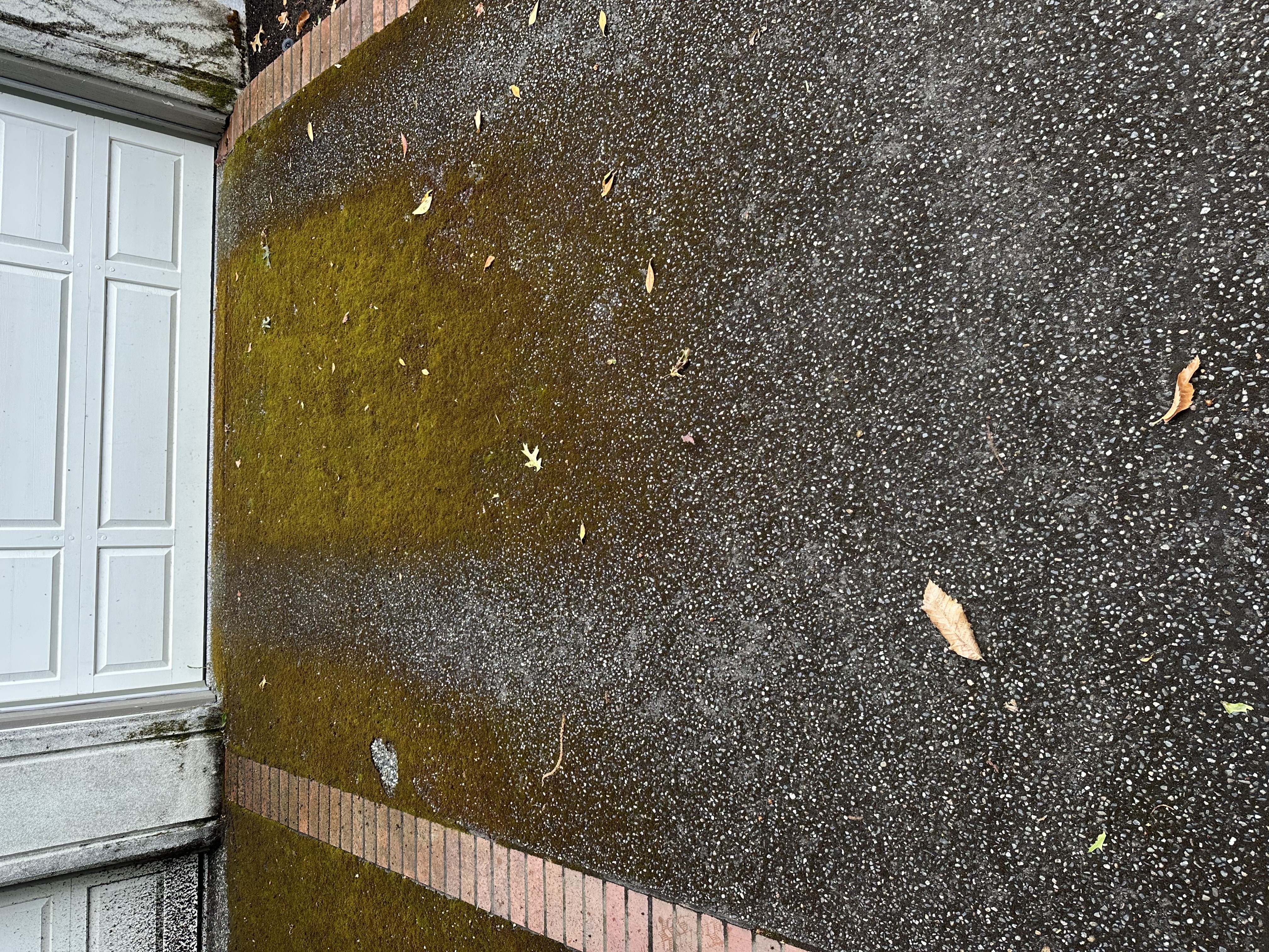 Driveway Before Pressure Washing